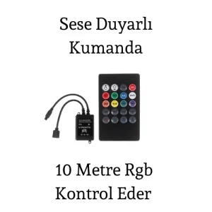 Sese Duyarlı Rgb Kumanda ve Kontrol Ünitesi
