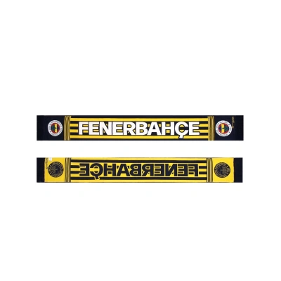 FENERBAHÇE SK ATKISI