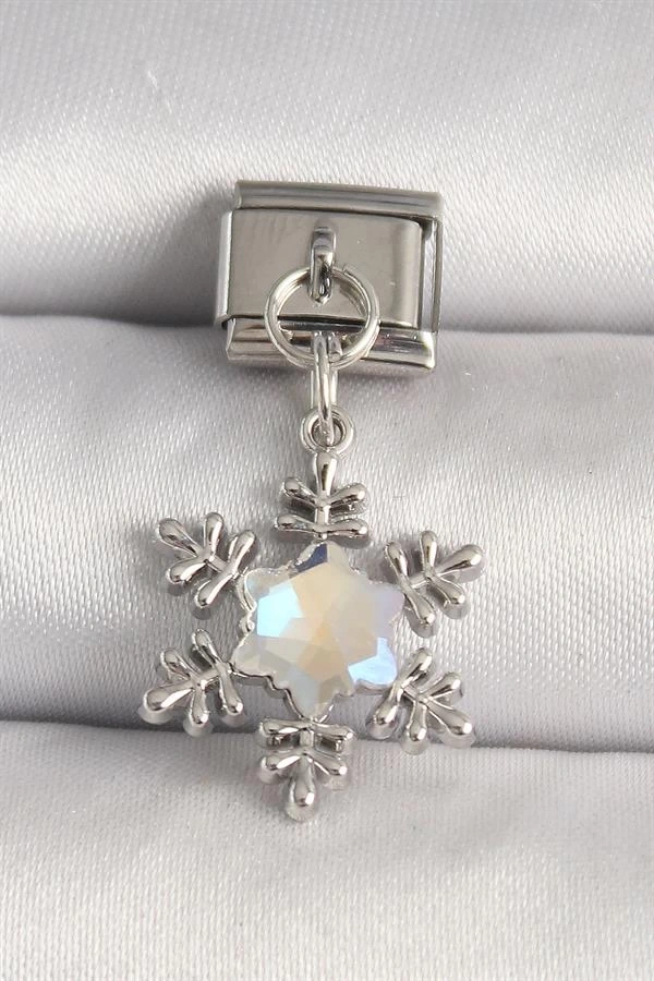 316L Çelik Gümüş Renk Zirkon Taşlı Kar Tanesi Model Nomination Charm