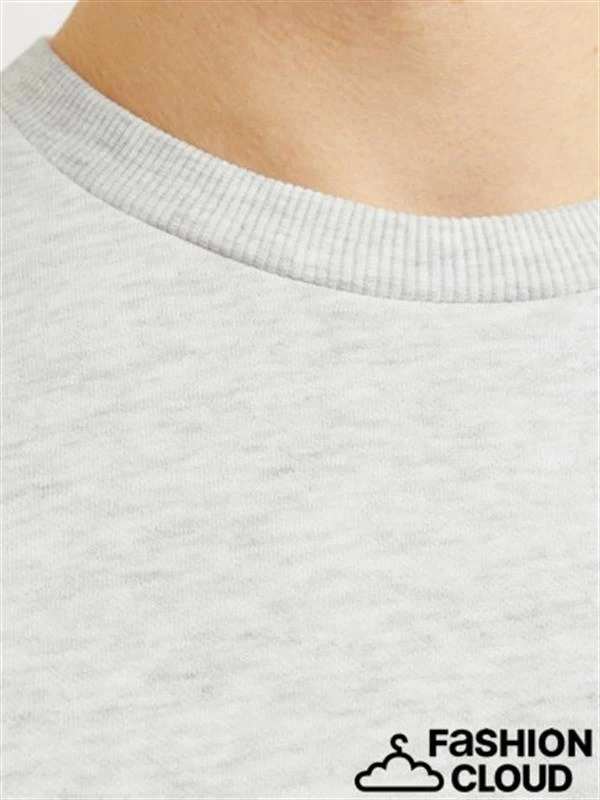 Üç İplik Küçük Baskılı Erkek Sweatshirt