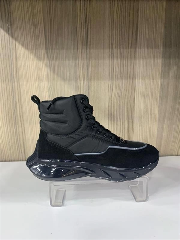 Z48206 Galaxy Bayan Bot