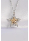 316L Çelik Zincir Gümüş Renk Zirkon Taşlı Tasarım Altın Renk Yıldız Kolye