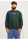 Büyük Beden Erkek Sweatshirt
