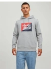 Logo Baskılı Kapüşonlu Erkek Sweatshirt