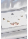 Pirinç Gold Renk Pembe Zirkon Taşlı Kalp Model 925 Ayar Gümüş Çivi Kadın Küpe Seti