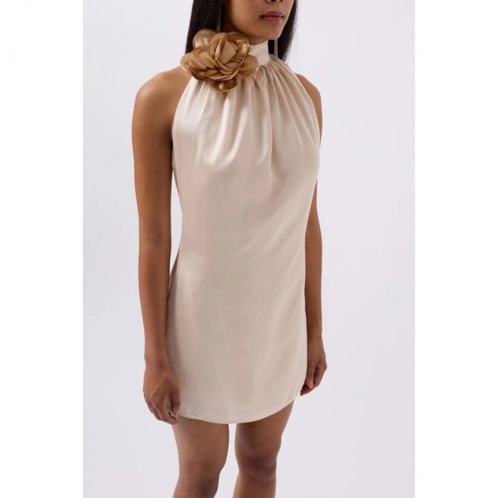 Gül Detay Mini Saten Elbise