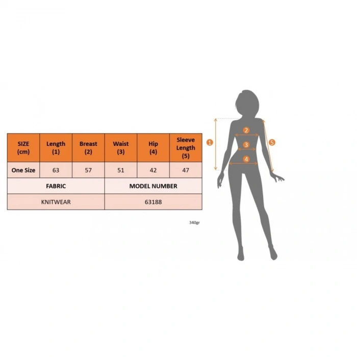 Kadın Uzun Kollu Balıkçı Yaka Triko Bluz