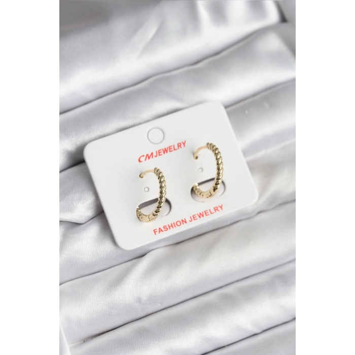 Erb 14K Gold Renk Kaplama Burgu Halka CM Kadın Küpe