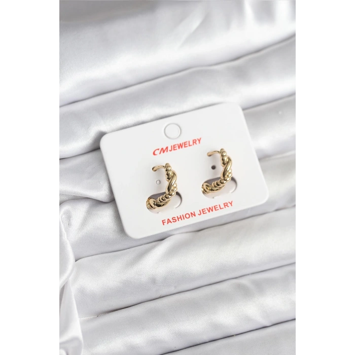 Erb 14K Gold Renk Kaplama Burgu Model CM Kadın Küpe