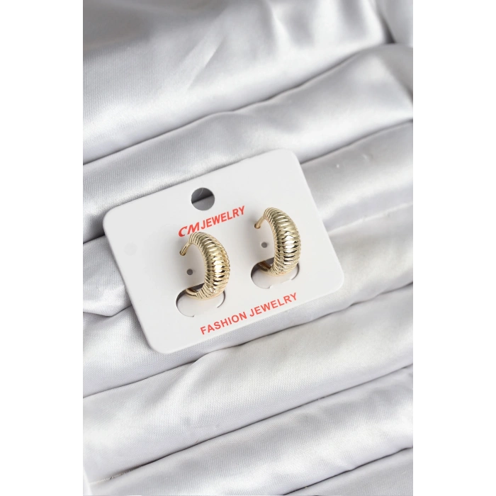 Erb 14K Gold Renk Kaplama CM Kadın Küpe