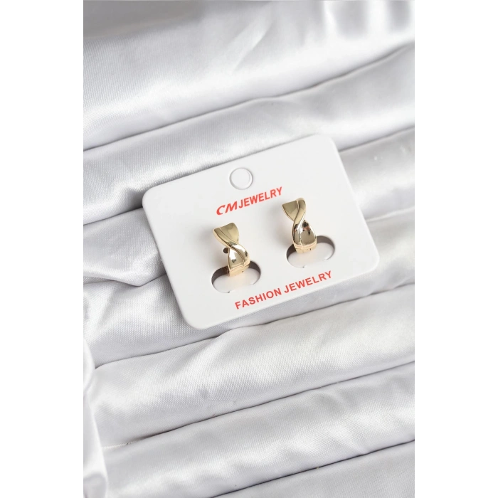 Erb 14K Gold Renk Kaplama CM Kadın Küpe