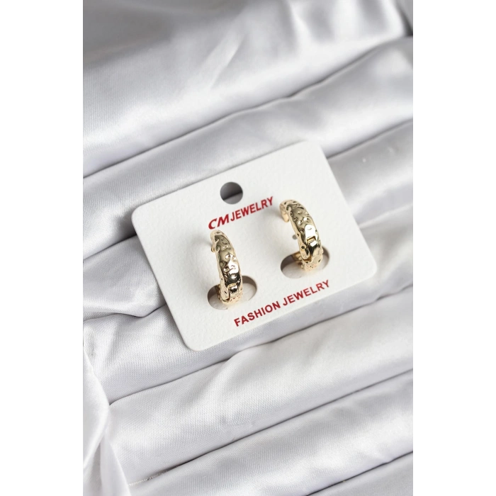 Erb 14K Gold Renk Kaplama CM Kadın Küpe