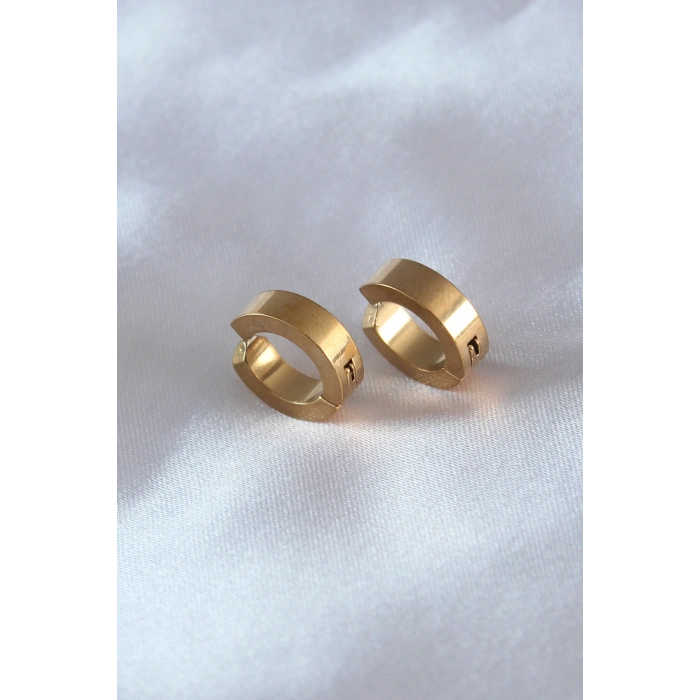 Erb 316L Çelik Gold Renk Sıkıştırmalı Erkek Küpe