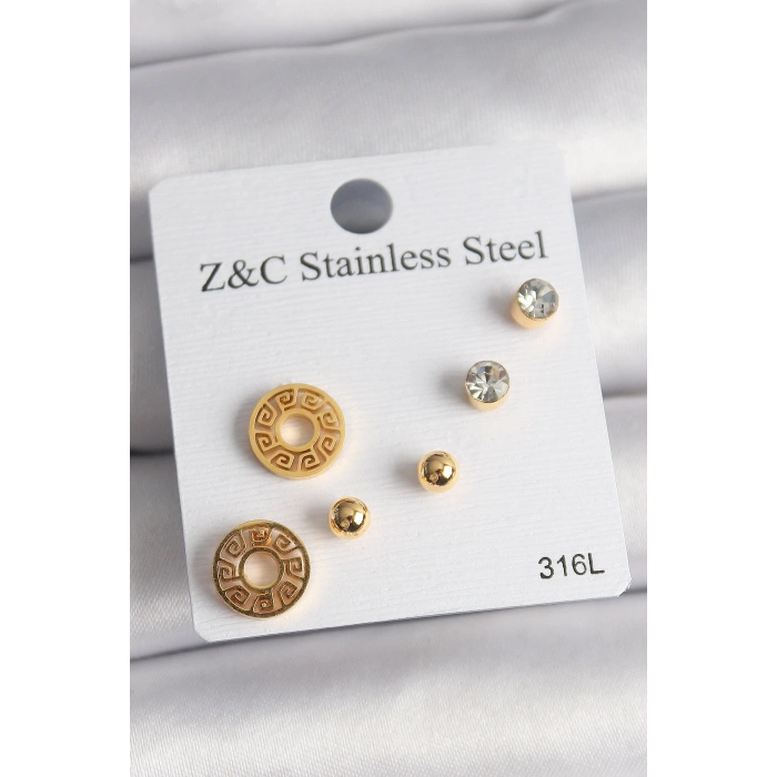 Erb 316L Çelik Gold Renk Zirkon Taşı Labirent Model Kadın Küpe Seti