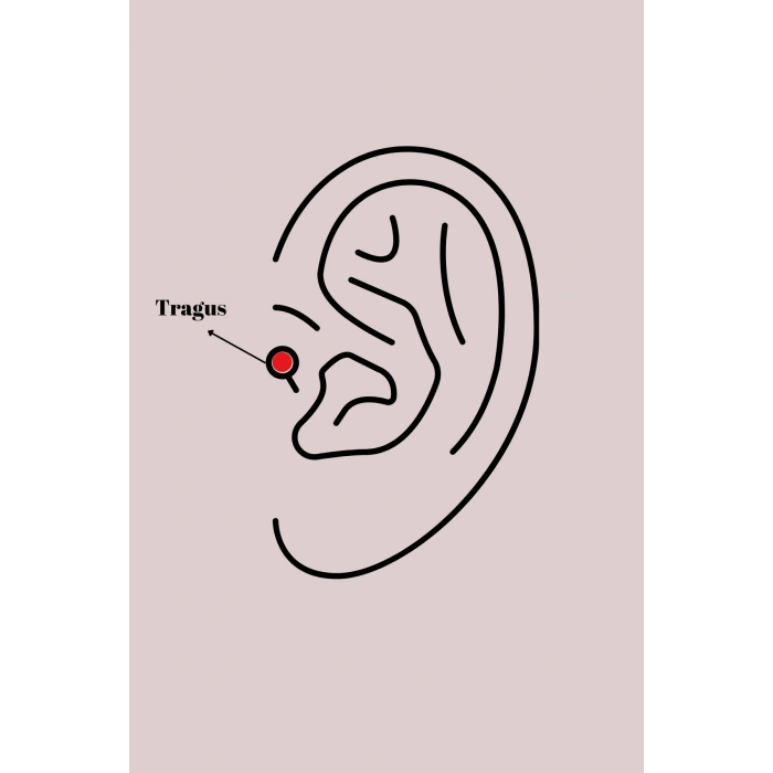 Erb 316L Çelik Gümüş Renk Zirkon Taşlı Güneş Tragus Piercing