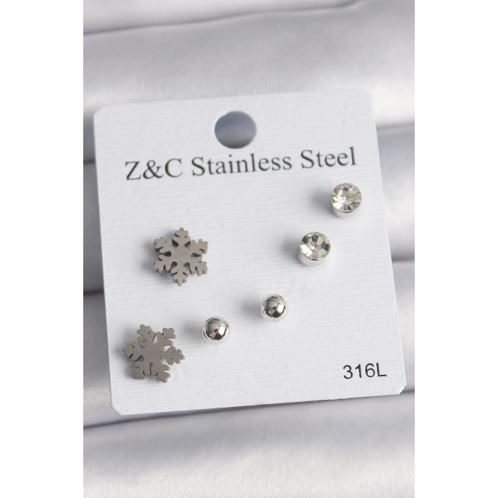 Erb 316L Çelik Gümüş Renk Zirkon Taşlı Kar Tanesi Model Kadın Küpe Seti