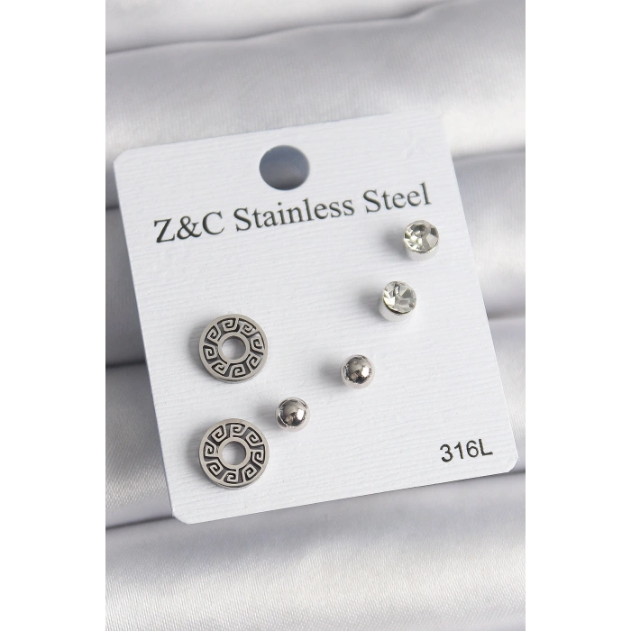 Erb 316L Çelik Gümüş Renk Zirkon Taşlı Labirent Model Kadın Küpe Seti