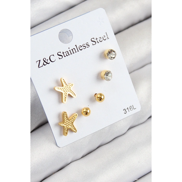 Erb 316L Çelik Zirkon Taşlı Deniz Yıldızı Model Gümüş Renk Kadın Set Küpe