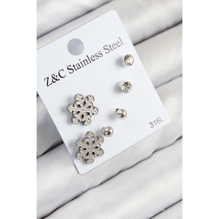 Erb 316L Çelik Zirkon Taşlı Kar Tanesi Model Gümüş Renk Kadın Set Küpe