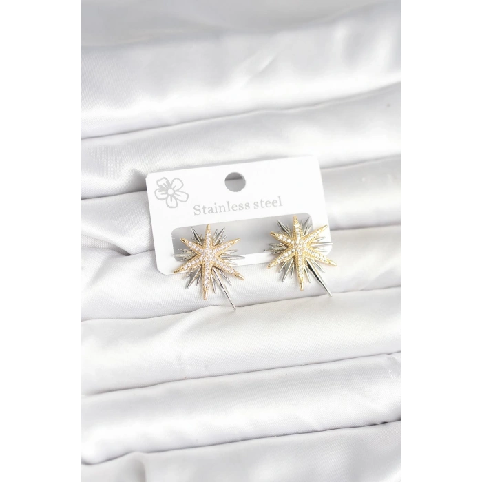 Erb Pirinç Gümüş Renk Kutup Yıldızı Kadın Küpe