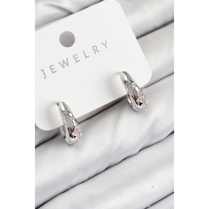 Erb Pirinç Zirkon Taş Desenli Model Gümüş Renk Kadın Küpe