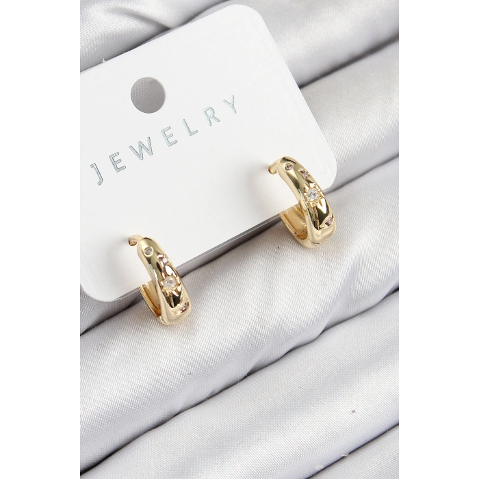 Erb Pirinç Zirkon Taşlı Halka Model Gold Renk Kadın Küpe