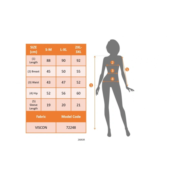 Kadın Kısa Kollu V Yakalı Etnik Desen şerit Detaylı Viskon Elbise