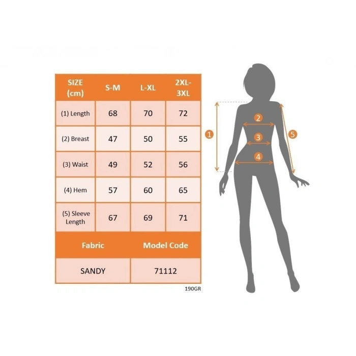 Kadın Uzun Kollu Göğüs Pencere Detay Yaka Boğazlı Kolları Tüllü Sandy Bluz