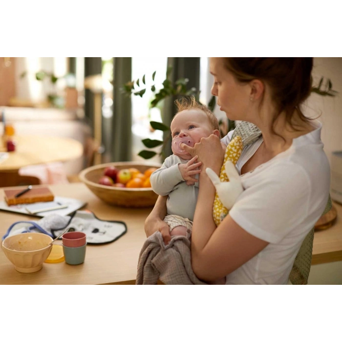 Philips Avent Soothie Ortodontik Saklama Kutulu 2li Emzik 0-6 Ay - Kız