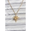 Erb 316L Çelik Zincir Gold Renk Kutup Yıldızı Model 60 Cm Zincir Kadın Kolye