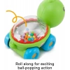 Fisher Price Poppity Araçlar - Kaplumbağa Bfh75