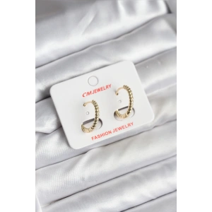 Erb 14K Gold Renk Kaplama Burgu Halka CM Kadın Küpe