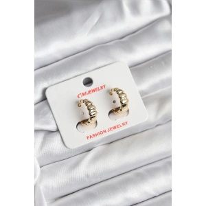 Erb 14K Gold Renk Kaplama CM Kadın Küpe