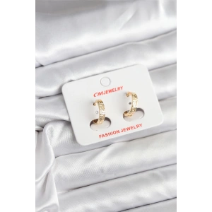 Erb 14K Gold Renk Kaplama CM Kadın Küpe