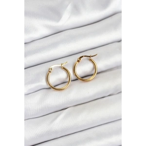 Erb 316L Çelik Gold Renk 15 Mm Halka Kadın Küpe