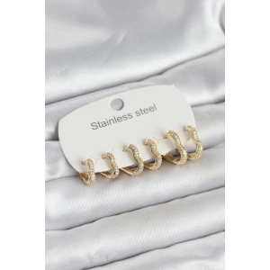 Erb 316L Çelik Gold Renk 6'lı Set Kalp Form Kadın Küpe