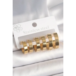 Erb 316L Çelik Gold Renk Halka Model Kadın Küpe Seti