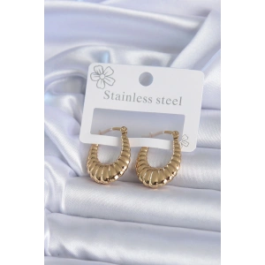 Erb 316L Çelik Gold Renk İşlemeli Halka Model Kadın Küpe