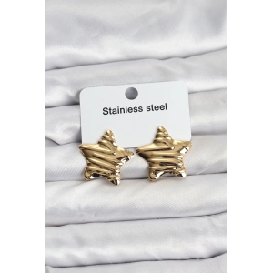 Erb 316L Çelik Gold Renk Yıldız Model Kadın Küpe