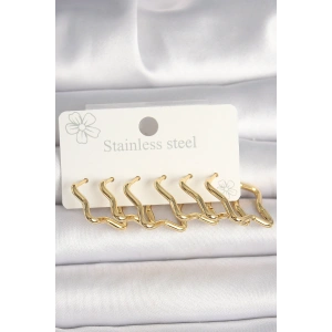 Erb 316L Çelik Gold Renk Yıldız Model Kadın Küpe Seti