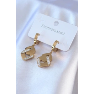 Erb 316L Çelik Gold Renk Zirkon Taşlı Kadın Küpe