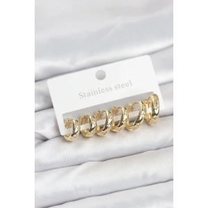 Erb 316L Çelik Gold Renk Zirkon Taşlı Kutup Yıldızı Model Halka Küpe Seti