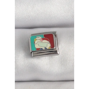 Erb 316L Çelik Gümüş Renk Renkli Portre Model Nomination Charm