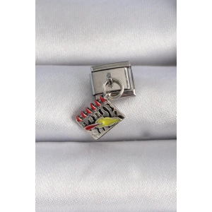 Erb 316L Çelik Gümüş Renk Sallantı Defter Figür Nomination Charm