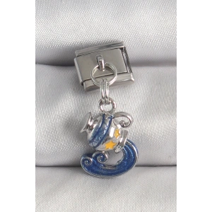 Erb 316L Çelik Gümüş Renk Sallantı Kova Burç Model Nomination Charm