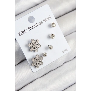 Erb 316L Çelik Zirkon Taşlı Kar Tanesi Model Gümüş Renk Kadın Set Küpe
