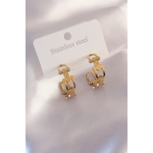 Erb Çelik Gold Renk Tifanny Zincir Model Kadın Küpe