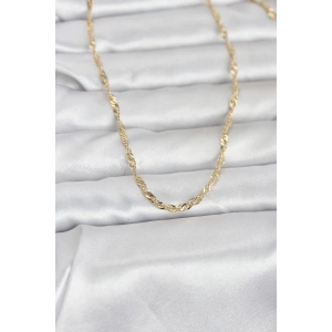Erb CM 14K Gold Renk Burgu Yassı Model 60 Cm Kadın Kolye