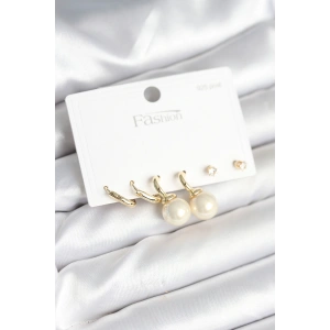 Erb Gold Renk Pirinç 925 Ayar Gümüş Çivili Kadın Küpe Seti