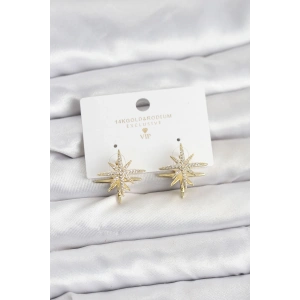 Erb Gold Renk Pirinç Çift Taraflı Kutup Yıldızı Kadın Küpe